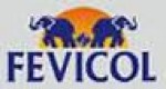 Fevicol