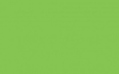 Laminates-Greenlam-Bright Green 251