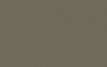 Laminates-Greenlam-Pine Nut 274
