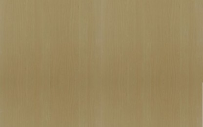 Laminates-Greenlam-Rising Beech 701