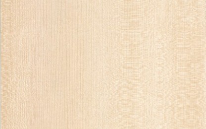 Laminates-Greenlam-Silver Maple 718