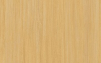 Laminates-Greenlam-European White Elm 728