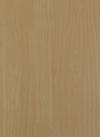 Laminates-Merino-White Beech 10036